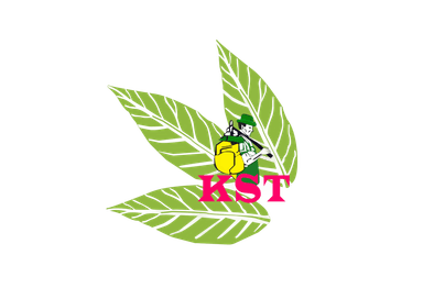 Kasetthong Thai Agro Logo