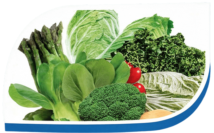 ผลไม้และพืชผล 5